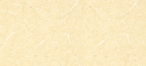 bg_img001